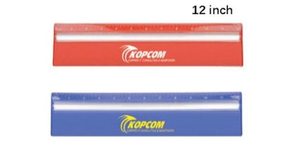 30cm Ruler with Colour and Magnifying