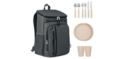 Picnic Cooler