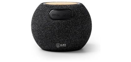 Bandini Speaker