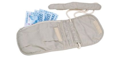 Security Neck Pouch