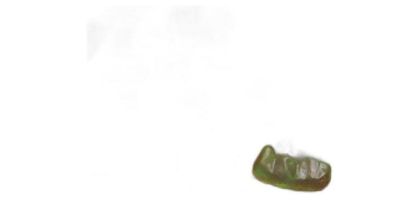 Gummi Bears