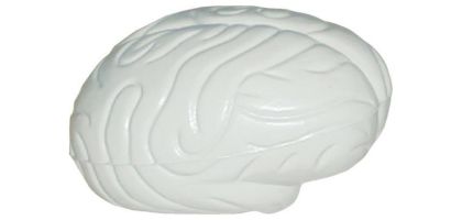 Stress Shape Brain
