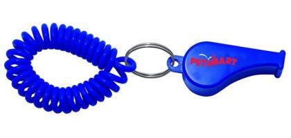 Whistle Coil Key Chain
