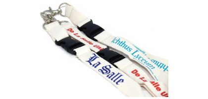 Dog Collars And Leads