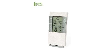 Maginly Weather Station