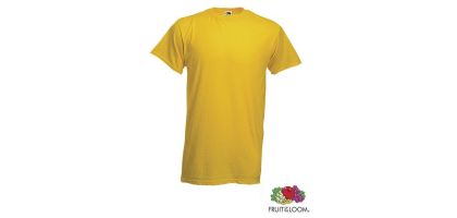 Adult Color T-shirt Heavy-t