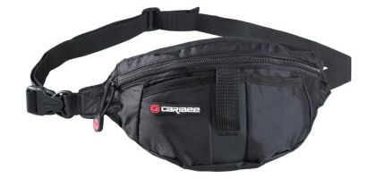 Moonlite Waist Bag