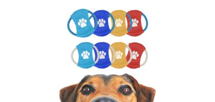 Rope Frisbee Dog Toy