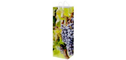 Full Colour Wine Bottle Paper Bag