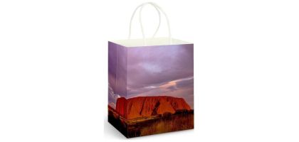 Full Colour Paper Bag Large