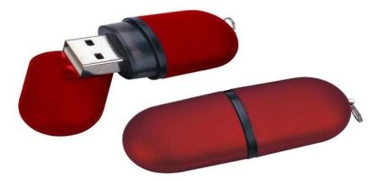 Starling Usb Flash Drive