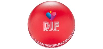 Squeeze Cricket Ball