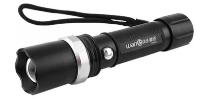 Danube Torch