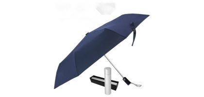 The Kingston Umbrella