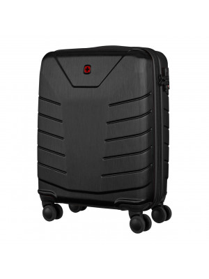 Pegasus Hardside Carry-on