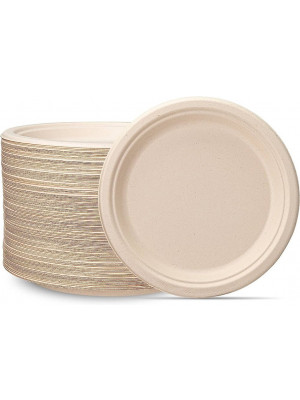 9" Sugarcane Plate