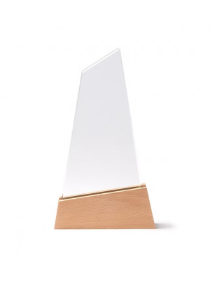 Navis Glass Trophy