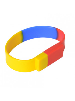 Sectional Coloured Wristbank Flash Drive