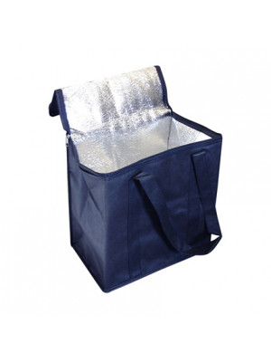 90 Gsm Nonwoven Cooler Bag