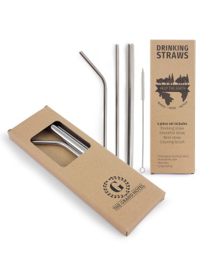 4 Piece Stainless Steel Straw Set