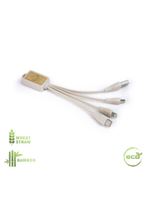 Ecology Charging Cable