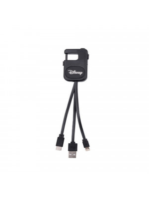 Delton Charging Cable