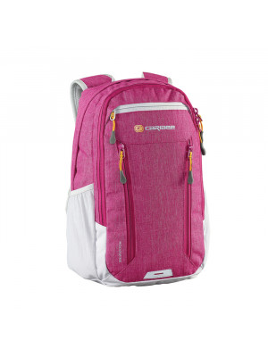 Hoodwink 16L Backpack