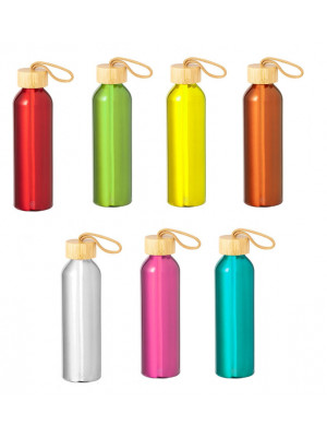 Irvinson Aluminium Bottle