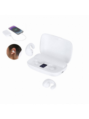 Powerbank Earphones Combination