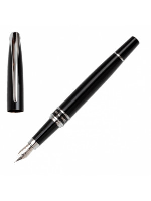 Fountain Pen Silver Clip