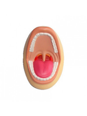 Mouth Shape Stress Reliver