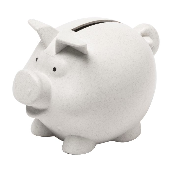 Coiny Piggy Bank