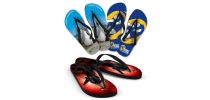 Flip Flops