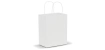 Paper Carry Bag - Medium