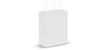 Paper Carry Bag - Large