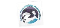 Temporary Tattoo Glitter - 51mm x 51mm