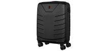 Pegasus Hardside Large