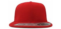 Flexfit Cool and Dry Cap