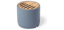 Piler Limestone Speaker
