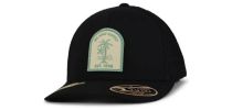 Recycled Mesh Cap