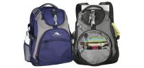 High Sierra Access 17'' Computer Backpack