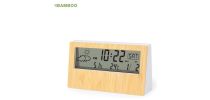 Roamer Weather Station