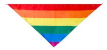 Faralax Rainbow Bandana