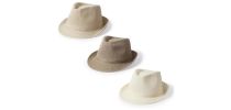 Hat Bauwens