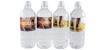 Pure Bottled Water