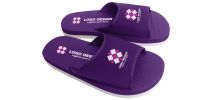 EVA Slides