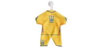 Custom Mini Jersey