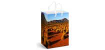 Full Colour Paper Bag Medium