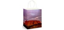 Full Colour Paper Bag Large