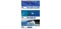 Sublimated Beach Towel
